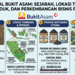 Mengenal Bukit Asam: Sejarah, Lokasi Tambang, Produk, dan Perkembangan Bisnis PTBA