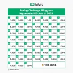 Bitcoin Terjerumus di Pencurian $320 Juta: Dari Bug Liquid Network Hingga Cara Baru Menabung Bitcoin