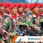 featured_image