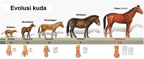 featured_image