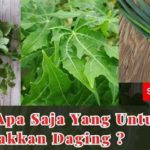 featured_image