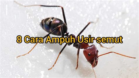 featured_image