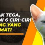 featured_image