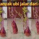 featured_image