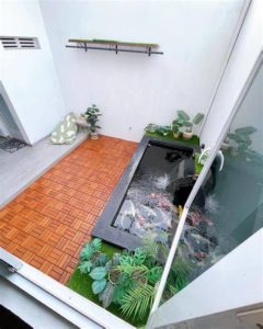 featured_image
