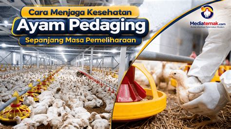 featured_image