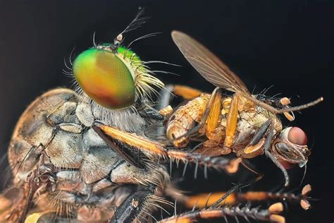 featured_image