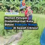 featured_image