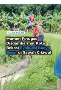 featured_image