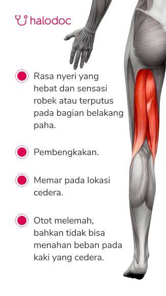 featured_image
