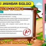 featured_image