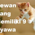 featured_image