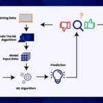 featured_image