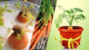 featured_image