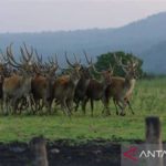 featured_image