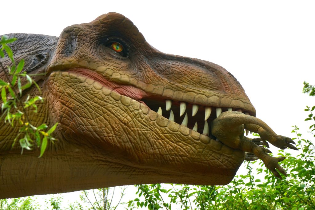 Dino Toppmöller Batal di Lens: Mengungkap Alasan Tersembunyi di Balik Pengunduran Diri Cepat