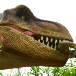 Dino Toppmöller Batal di Lens: Mengungkap Alasan Tersembunyi di Balik Pengunduran Diri Cepat