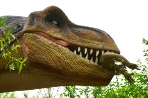 Dino Toppmöller Batal di Lens: Mengungkap Alasan Tersembunyi di Balik Pengunduran Diri Cepat