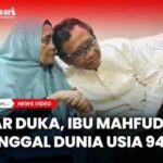 featured_image