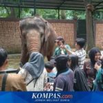 featured_image